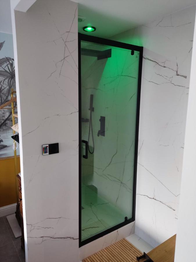 Superbe Appartement Avec Jacuzzi Avec Jardin Prive Lyon Buitenkant foto