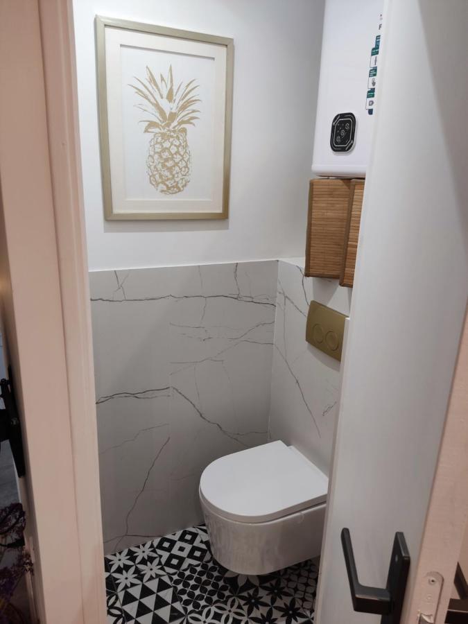 Superbe Appartement Avec Jacuzzi Avec Jardin Prive Lyon Buitenkant foto