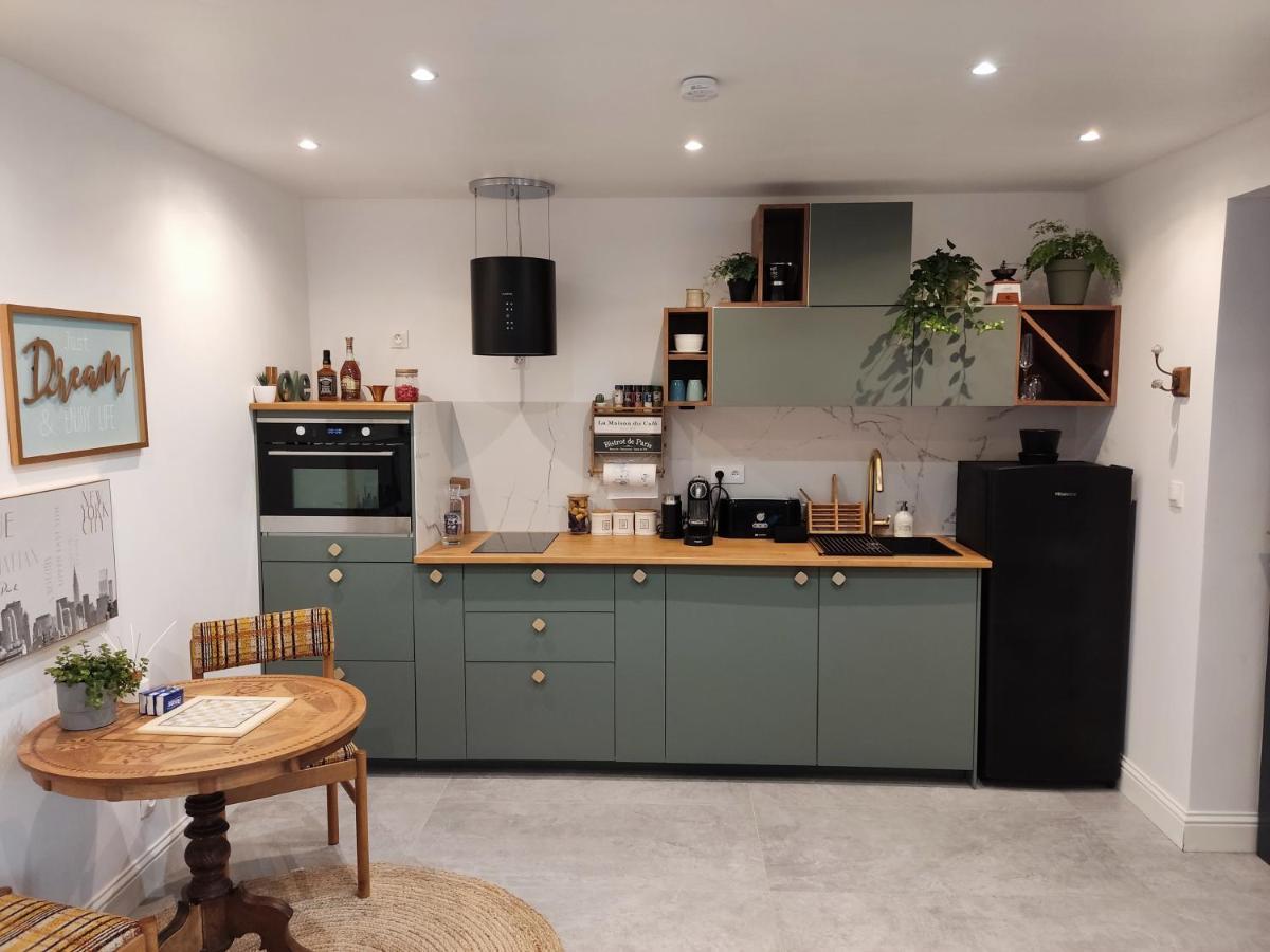 Superbe Appartement Avec Jacuzzi Avec Jardin Prive Lyon Buitenkant foto