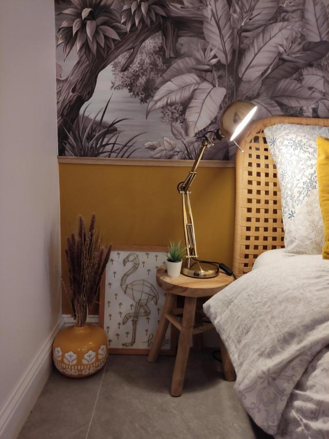Superbe Appartement Avec Jacuzzi Avec Jardin Prive Lyon Buitenkant foto